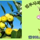 화북식당(용산점) 이미지