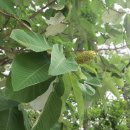 영지농장 이미지