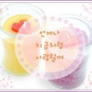 꽃사랑꽃구름