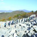 달마고도 이미지