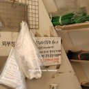 청춘청과 네이버블로그