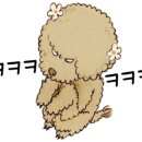 루체테스튜디오 이미지
