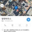 영캣