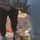 오수봉투 이미지