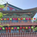 삼문사금강유치원 이미지