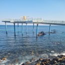 디자인해랑 | 동해 도째비골 해랑전망대: 에메랄드빛 바다 위를 걷는 짜릿한 경험! 인생샷 꿀팁 방출!