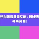 똑똑 내 마음아 안녕? 이미지