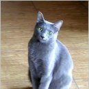 성문카센타 이미지