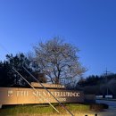 벙커PC | 더 시에나 벨루토cc KLPGA 대회 직후 라운딩 후기