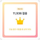 강매배수펌프장 | 고양 2023 창릉천 유채꽃 축제 중 봄꽃축제 걸어서 다녀온 후기