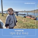 [아이들과 여행 1일차] 백마강 유람선, 롯데부여리조트, 시골통닭 부여맛집