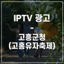 애드고흥