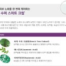 리셋
