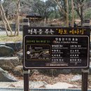 황토메타길 이미지