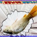 발랑낚시터 이미지