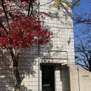 은파호수공원 | [군산 은파 카페]은파호수공원 뷰 카페 로디드아파트먼트커피 후기