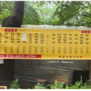 대공원역 5번 출구 옆 네이버블로그