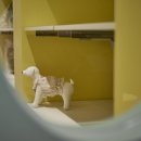 마이리틀갱스타 이미지