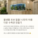 초보자를 위한 수족관 설치 가이드: 단계별 안내