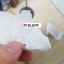 하나방역 - 기장군 배산로56번길 35 | 하나방역