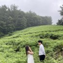 고사리맨션 이미지