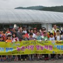 금곡단위농협 동행미디어 시대