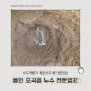 단독주택단지 (옥외1)55081 | 포곡읍 누수탐지 양지면 수도계량기 수도세폭탄일때