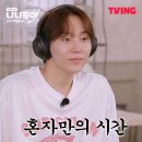 고난만이 가득했던 나홀로 제주 여행🌊 (ft. 왕지네 물림 사고)