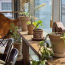 자연애마트 달동점 이미지