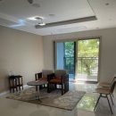 빨간모자달팽이 이미지