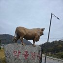 문경축산농협약돌축산물센터