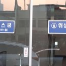 대교미트
