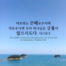 향기4로 이미지