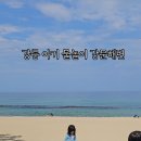 세븐일레븐강릉세인트존스점 이미지