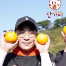 진영스토어 이미지