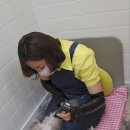 삐삐그루밍 네이버블로그