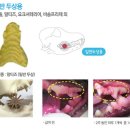 덴탈웍스 이미지