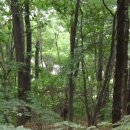 풍요의 아침 이미지