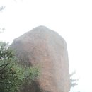 고흥주유소 이미지