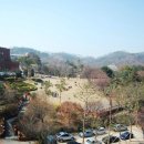 가톨릭대학교 성심교정 이미지