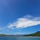 정자정동