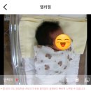 다온미즈 | 천안 아산 다온미래 산후조리원 가감없는 내돈내산 2주 찐리얼 후기 [삼성미즈 조리원 광탈엔딩]