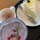 블루밍캑터스