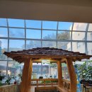 늘푸른전당 헬스장 이미지