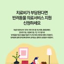 팜랜드동물병원 이미지