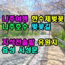 나주여행 한수제벚꽃 호수벚꽃길 지석천솔밭유원지 읍성서성문 이미지