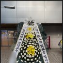 서울아산병원 장례식장 근조화환 배달 후기 – 설치 경험과 리본 문구 실례