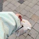 [맘스터치 신메뉴] 에드워드 리 셰프 컬렉션 에드워드 리 빅싸이순살 솔직리뷰 (내가 만들었쮜?)