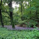 두교산업단지 이미지