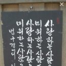 매일 사랑방 (11,26,목) 시절인연^옮겨옴 이미지